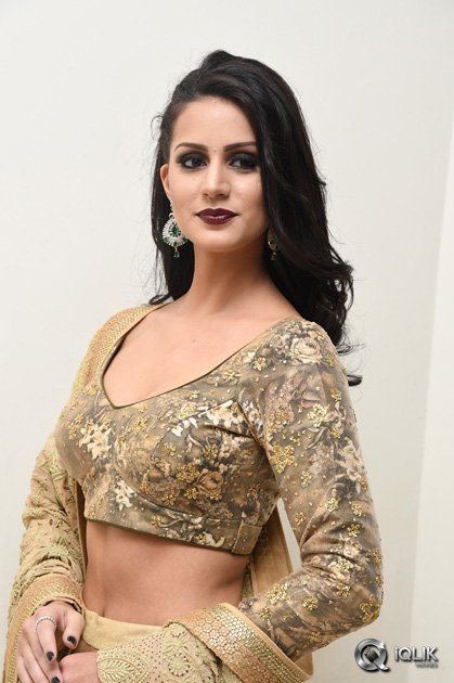 Larissa-Bonesi-at-Thikka-Movie-Audio-Launch